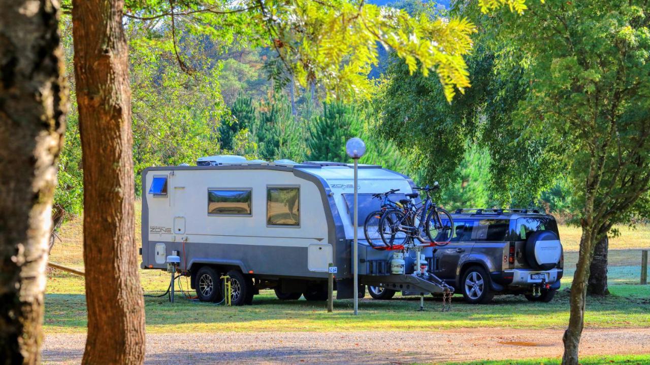 Big4 Porepunkah Holiday Park Bright Buitenkant foto