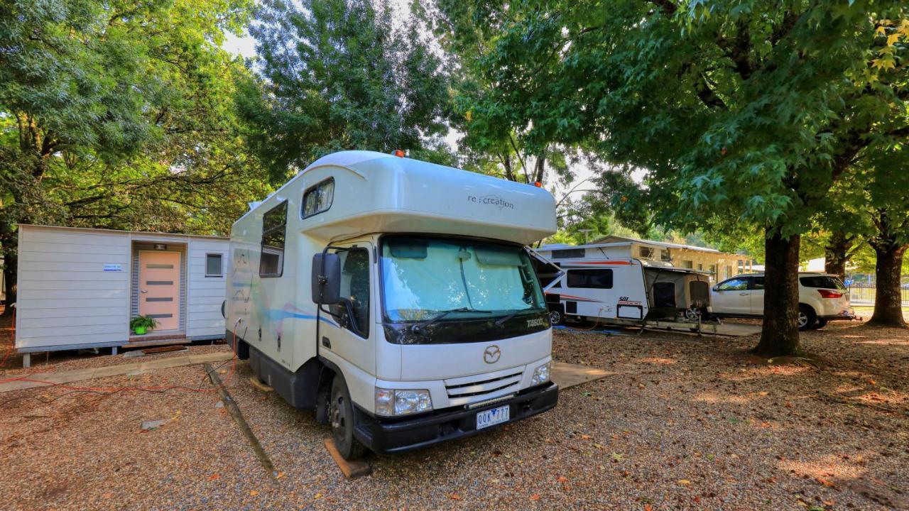 Big4 Porepunkah Holiday Park Bright Buitenkant foto